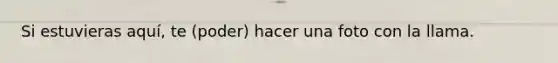 Si estuvieras aquí, te (poder) hacer una foto con la llama.