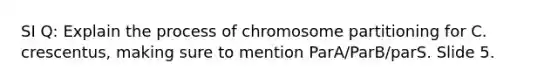 SI Q: Explain the process of chromosome partitioning for C. crescentus, making sure to mention ParA/ParB/parS. Slide 5.