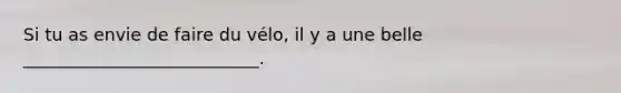 Si tu as envie de faire du vélo, il y a une belle ___________________________.