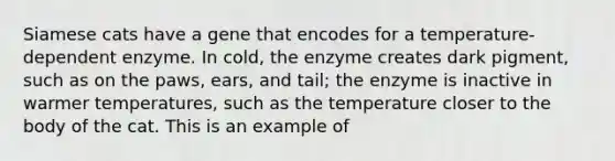 Siamese cats have a gene that encodes for a temperature-dependent enzyme. In cold, the enzyme creates dark pigment, such as on the paws, ears, and tail; the enzyme is inactive in warmer temperatures, such as the temperature closer to the body of the cat. This is an example of