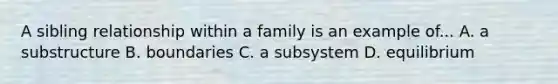 A sibling relationship within a family is an example of... A. a substructure B. boundaries C. a subsystem D. equilibrium