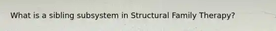 What is a sibling subsystem in Structural <a href='https://www.questionai.com/knowledge/kTFSmi6TX8-family-therapy' class='anchor-knowledge'>family therapy</a>?