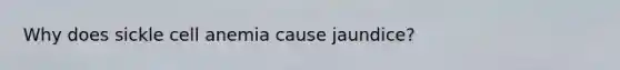 Why does sickle cell anemia cause jaundice?