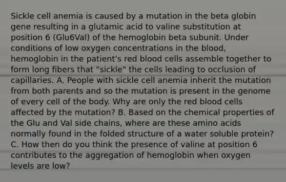 Sickle cell anemia is caused by a mutation in the beta globin gene resulting in a glutamic acid to valine substitution at position 6 (Glu6Val) of the hemoglobin beta subunit. Under conditions of low oxygen concentrations in the blood, hemoglobin in the patient's red blood cells assemble together to form long fibers that "sickle" the cells leading to occlusion of capillaries. A. People with sickle cell anemia inherit the mutation from both parents and so the mutation is present in the genome of every cell of the body. Why are only the red blood cells affected by the mutation? B. Based on the chemical properties of the Glu and Val side chains, where are these amino acids normally found in the folded structure of a water soluble protein? C. How then do you think the presence of valine at position 6 contributes to the aggregation of hemoglobin when oxygen levels are low?