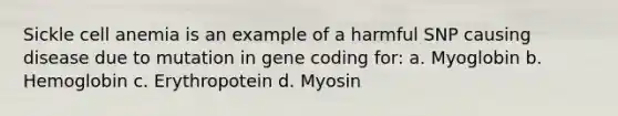 Sickle cell anemia is an example of a harmful SNP causing disease due to mutation in gene coding for: a. Myoglobin b. Hemoglobin c. Erythropotein d. Myosin