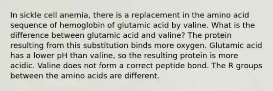 In sickle cell anemia, there is a replacement in the amino acid sequence of hemoglobin of glutamic acid by valine. What is the difference between glutamic acid and valine? The protein resulting from this substitution binds more oxygen. Glutamic acid has a lower pH than valine, so the resulting protein is more acidic. Valine does not form a correct peptide bond. The R groups between the <a href='https://www.questionai.com/knowledge/k9gb720LCl-amino-acids' class='anchor-knowledge'>amino acids</a> are different.