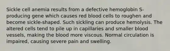 Sickle cell anemia results from a defective hemoglobin S-producing gene which causes red blood cells to roughen and become sickle-shaped. Such sickling can produce hemolysis. The altered cells tend to pile up in capillaries and smaller blood vessels, making the blood more viscous. Normal circulation is impaired, causing severe pain and swelling.