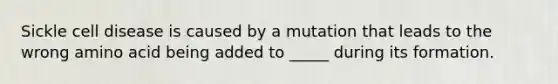 Sickle cell disease is caused by a mutation that leads to the wrong amino acid being added to _____ during its formation.