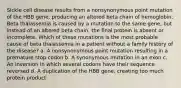 Sickle cell disease results from a nonsynonymous point mutation of the HBB gene, producing an altered beta chain of hemoglobin. Beta thalassemia is caused by a mutation to the same gene, but instead of an altered beta chain, the final protein is absent or incomplete. Which of these mutations is the most probable cause of beta thalassemia in a patient without a family history of the disease? a. A nonsynonymous point mutation resulting in a premature stop codon b. A synonymous mutation in an exon c. An inversion in which several codons have their sequence reversed d. A duplication of the HBB gene, creating too much protein product