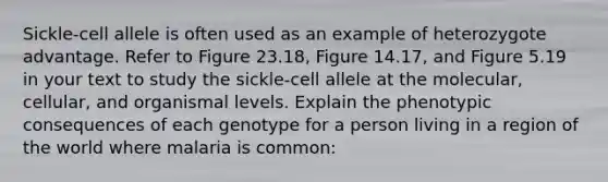 Sickle-cell allele is often used as an example of heterozygote advantage. Refer to Figure 23.18, Figure 14.17, and Figure 5.19 in your text to study the sickle-cell allele at the molecular, cellular, and organismal levels. Explain the phenotypic consequences of each genotype for a person living in a region of the world where malaria is common: