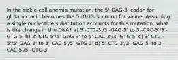 In the sickle-cell anemia mutation, the 5'-GAG-3' codon for glutamic acid becomes the 5'-GUG-3' codon for valine. Assuming a single nucleotide substitution accounts for this mutation, what is the change in the DNA? a) 5'-CTC-3'/3'-GAG-5' to 5'-CAC-3'/3'-GTG-5' b) 3'-CTC-5'/5'-GAG-3' to 5'-CAC-3'/3'-GTG-5' c) 3'-CTC-5'/5'-GAG-3' to 3'-CAC-5'/5'-GTG-3' d) 5'-CTC-3'/3'-GAG-5' to 3'-CAC-5'/5'-GTG-3'