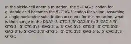 In the sickle-cell anemia mutation, the 5′-GAG-3′ codon for glutamic acid becomes the 5′-GUG-3′ codon for valine. Assuming a single nucleotide substitution accounts for this mutation, what is the change in the DNA? -3′-CTC-5′/5′-GAG-3′ to 3′-CAC-5′/5′-GTG-3′ -5′-CTC-3′/3′-GAG-5′ to 3′-CAC-5′/5′-GTG-3′ -3′-CTC-5′/5′-GAG-3′ to 5′-CAC-3′/3′-GTG-5′ -5′-CTC-3′/3′-GAG-5′ to 5′-CAC-3′/3′-GTG-5′