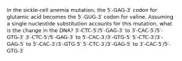 In the sickle-cell anemia mutation, the 5′-GAG-3′ codon for glutamic acid becomes the 5′-GUG-3′ codon for valine. Assuming a single nucleotide substitution accounts for this mutation, what is the change in the DNA? 3′-CTC-5′/5′-GAG-3′ to 3′-CAC-5′/5′-GTG-3′ 3′-CTC-5′/5′-GAG-3′ to 5′-CAC-3′/3′-GTG-5′ 5′-CTC-3′/3′-GAG-5′ to 5′-CAC-3′/3′-GTG-5′ 5′-CTC-3′/3′-GAG-5′ to 3′-CAC-5′/5′-GTG-3′