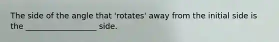 The side of the angle that 'rotates' away from the initial side is the __________________ side.