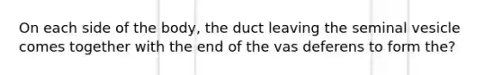 On each side of the body, the duct leaving the seminal vesicle comes together with the end of the vas deferens to form the?