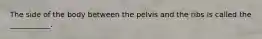 The side of the body between the pelvis and the ribs is called the ___________.