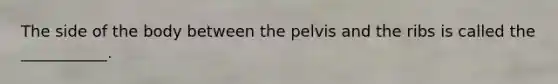 The side of the body between the pelvis and the ribs is called the ___________.