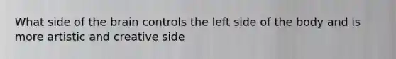 What side of the brain controls the left side of the body and is more artistic and creative side