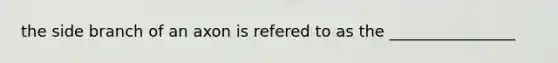 the side branch of an axon is refered to as the ________________