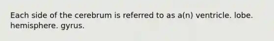 Each side of the cerebrum is referred to as a(n) ventricle. lobe. hemisphere. gyrus.