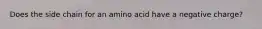 Does the side chain for an amino acid have a negative charge?