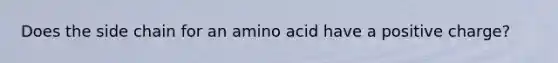 Does the side chain for an amino acid have a positive charge?