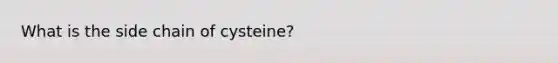 What is the side chain of cysteine?