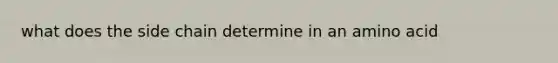 what does the side chain determine in an amino acid