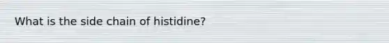 What is the side chain of histidine?