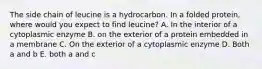 The side chain of leucine is a hydrocarbon. In a folded protein, where would you expect to find leucine? A. In the interior of a cytoplasmic enzyme B. on the exterior of a protein embedded in a membrane C. On the exterior of a cytoplasmic enzyme D. Both a and b E. both a and c