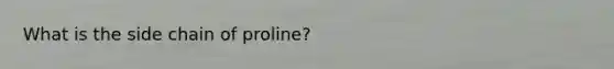 What is the side chain of proline?