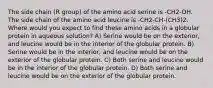 The side chain (R group) of the amino acid serine is -CH2-OH. The side chain of the amino acid leucine is -CH2-CH-(CH3)2. Where would you expect to find these amino acids in a globular protein in aqueous solution? A) Serine would be on the exterior, and leucine would be in the interior of the globular protein. B) Serine would be in the interior, and leucine would be on the exterior of the globular protein. C) Both serine and leucine would be in the interior of the globular protein. D) Both serine and leucine would be on the exterior of the globular protein.