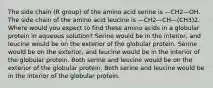 The side chain (R group) of the amino acid serine is —CH2—OH. The side chain of the amino acid leucine is —CH2—CH—(CH3)2. Where would you expect to find these amino acids in a globular protein in aqueous solution? Serine would be in the interior, and leucine would be on the exterior of the globular protein. Serine would be on the exterior, and leucine would be in the interior of the globular protein. Both serine and leucine would be on the exterior of the globular protein. Both serine and leucine would be in the interior of the globular protein.