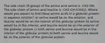 The side chain (R-group) of the amino acid serine is -CH2-OH. The side chain of amino acid leucine is -CH2-CH-(CH3)2. Where would you expect to find these amino acids in a globular protein in aqueous solution? a) serine would be on the exterior, and leucine would be on the interior of the globular protein b) serine would be in the interior, and leucine would be on the exterior of the globular protein c) both serine and leucine would be in the interior of the globular protein d) both serine and leucine would be on the exterior of the globular protein