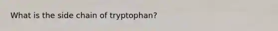 What is the side chain of tryptophan?