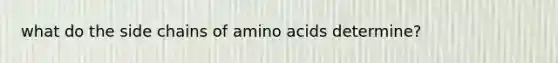 what do the side chains of amino acids determine?