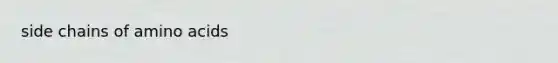 side chains of <a href='https://www.questionai.com/knowledge/k9gb720LCl-amino-acids' class='anchor-knowledge'>amino acids</a>