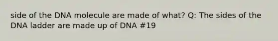 side of the DNA molecule are made of what? Q: The sides of the DNA ladder are made up of DNA #19