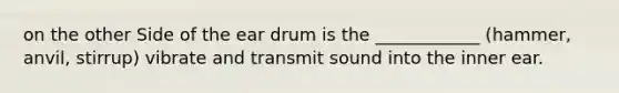 on the other Side of the ear drum is the ____________ (hammer, anvil, stirrup) vibrate and transmit sound into the inner ear.