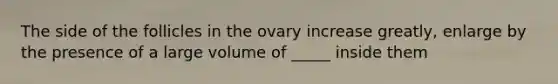 The side of the follicles in the ovary increase greatly, enlarge by the presence of a large volume of _____ inside them