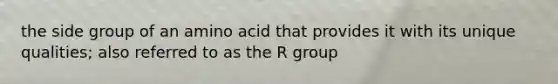 the side group of an amino acid that provides it with its unique qualities; also referred to as the R group