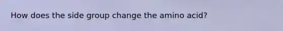 How does the side group change the amino acid?