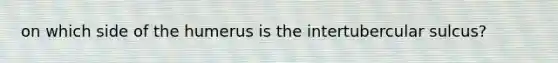 on which side of the humerus is the intertubercular sulcus?