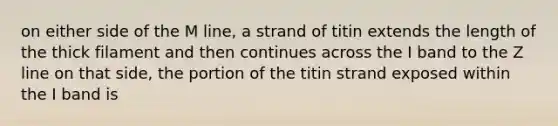 on either side of the M line, a strand of titin extends the length of the thick filament and then continues across the I band to the Z line on that side, the portion of the titin strand exposed within the I band is