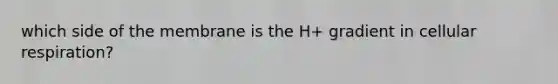 which side of the membrane is the H+ gradient in cellular respiration?