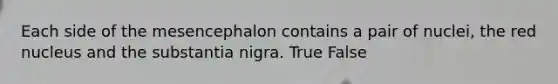 Each side of the mesencephalon contains a pair of nuclei, the red nucleus and the substantia nigra. True False