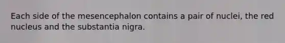 Each side of the mesencephalon contains a pair of nuclei, the red nucleus and the substantia nigra.