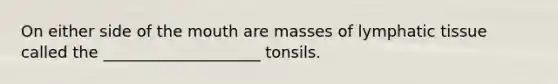 On either side of the mouth are masses of lymphatic tissue called the ____________________ tonsils.