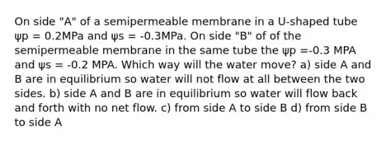 On side "A" of a semipermeable membrane in a U-shaped tube ψp = 0.2MPa and ψs = -0.3MPa. On side "B" of of the semipermeable membrane in the same tube the ψp =-0.3 MPA and ψs = -0.2 MPA. Which way will the water move? a) side A and B are in equilibrium so water will not flow at all between the two sides. b) side A and B are in equilibrium so water will flow back and forth with no net flow. c) from side A to side B d) from side B to side A