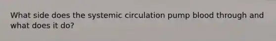 What side does the systemic circulation pump blood through and what does it do?